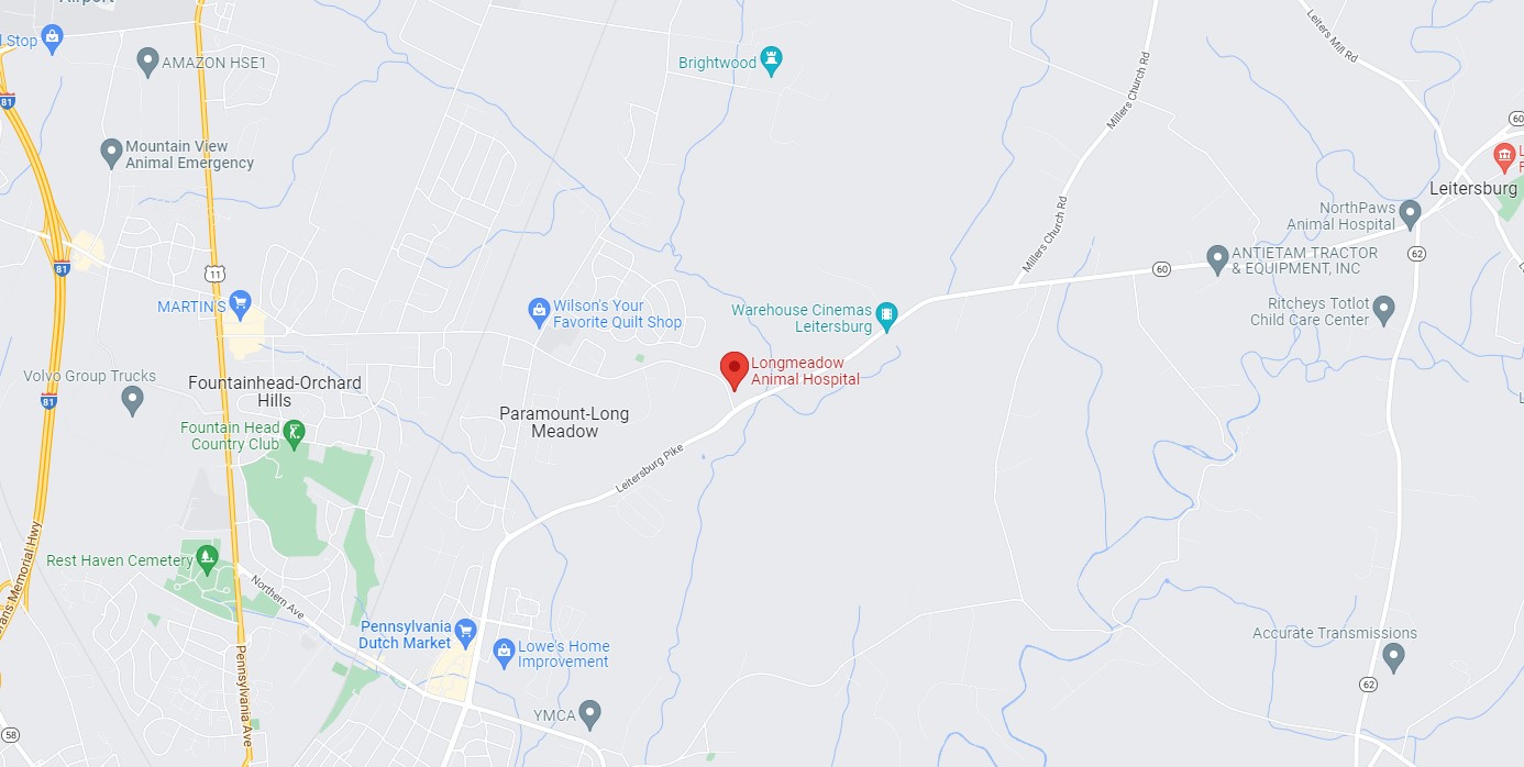 Map showing the location of Longmeadow Animal Hospital on Longmeadow Road, Hagerstown MD