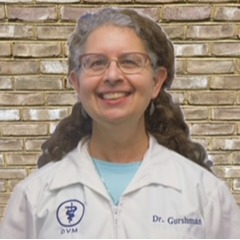 Dr. Rebecca Gurshman, DVM, Medical Director at Longmeadow Animal Hospital